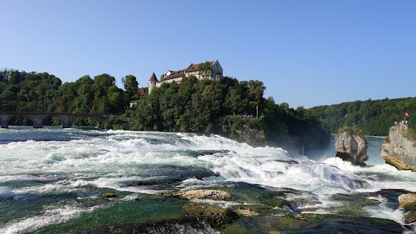 Rhine Falls 5