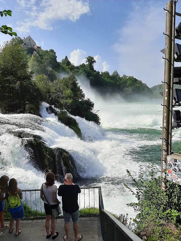Rhine Falls 4