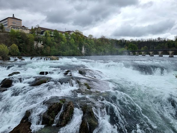 Rhine Falls 3