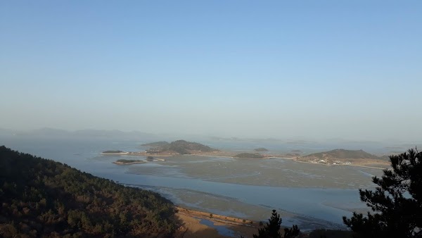 안좌도 5
