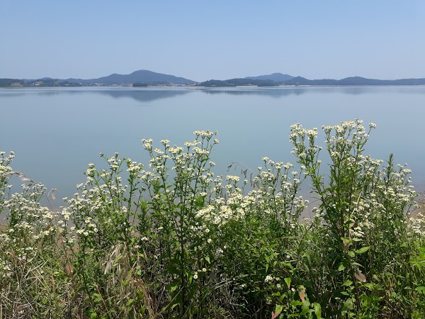 안좌도 4