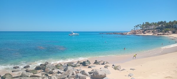 La Palmilla 1