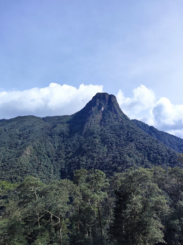 Finca La Montaña
