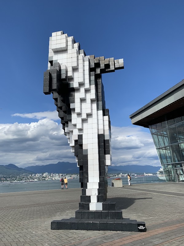 Digital Orca