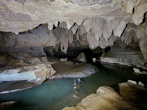 Waipu Caves Scenic Reserve 1