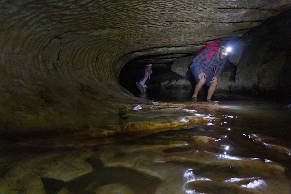 Waipu Caves Scenic Reserve 5