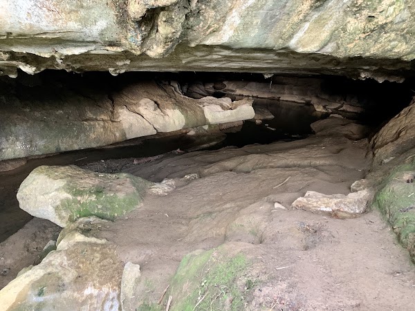 Waipu Caves Scenic Reserve 4