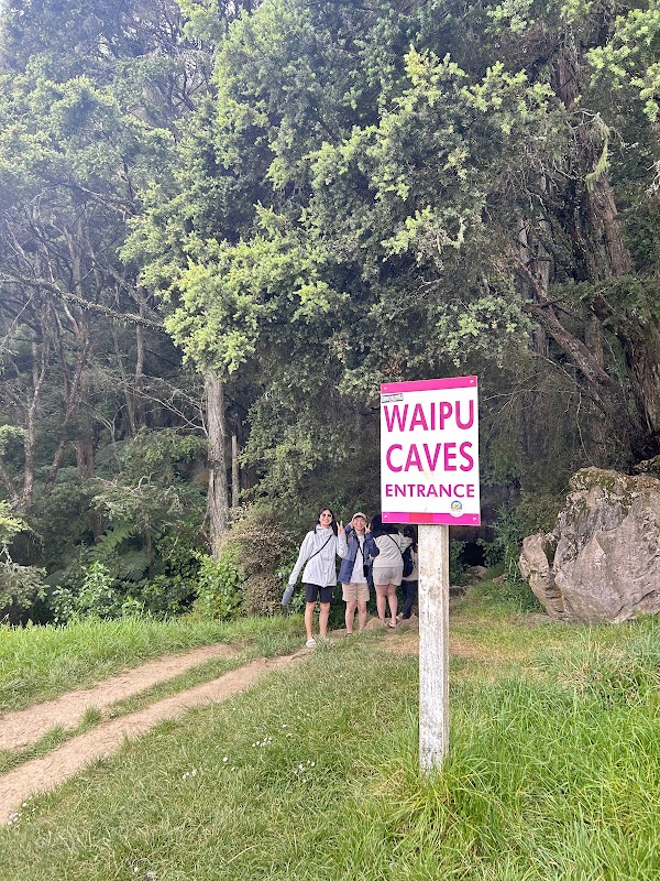 Waipu Caves Scenic Reserve 2