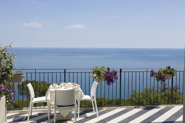 Le Marche  49