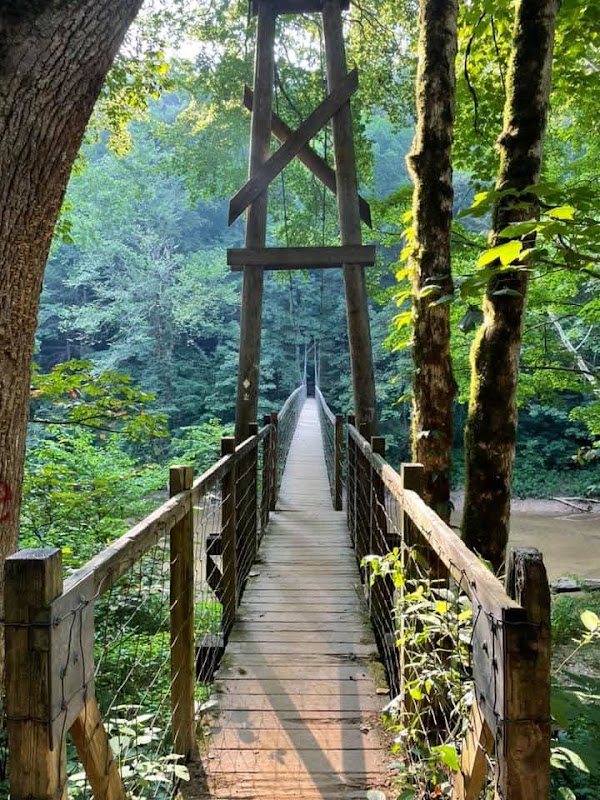 Sheltowee Trace Suspension Bridge 1