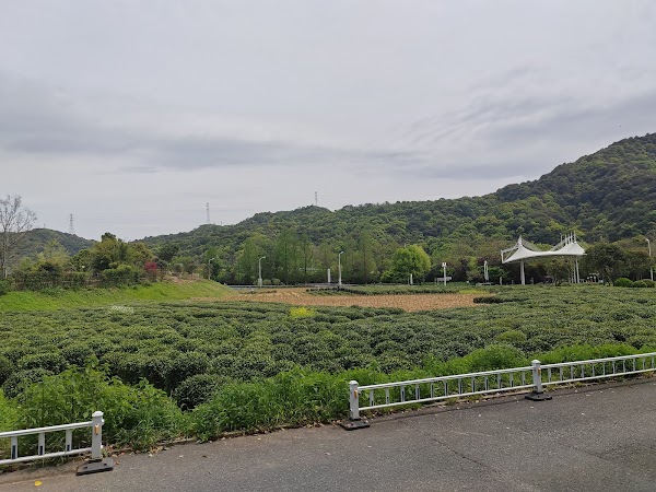Xihu Longwu Tea Town 5