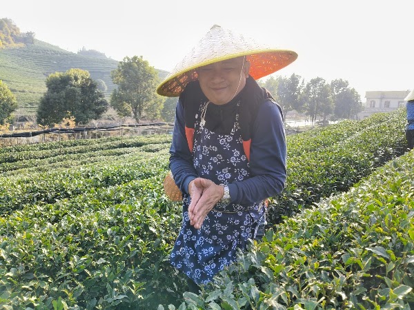 Xihu Longwu Tea Town 4