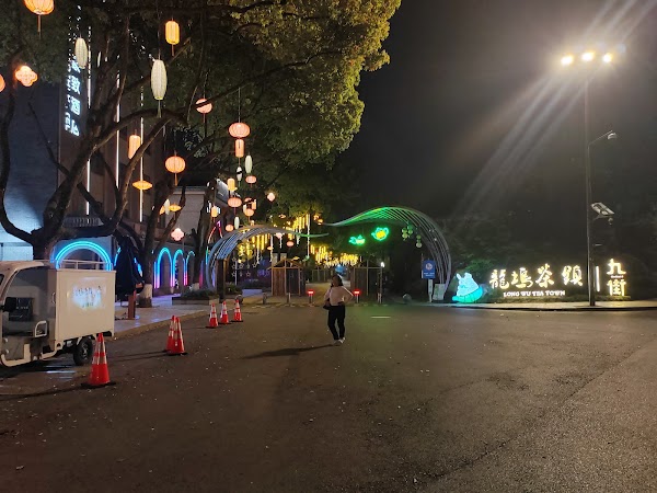 Xihu Longwu Tea Town 2