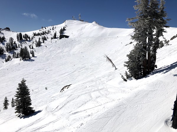 Alpine Base Area at Palisades Tahoe 4