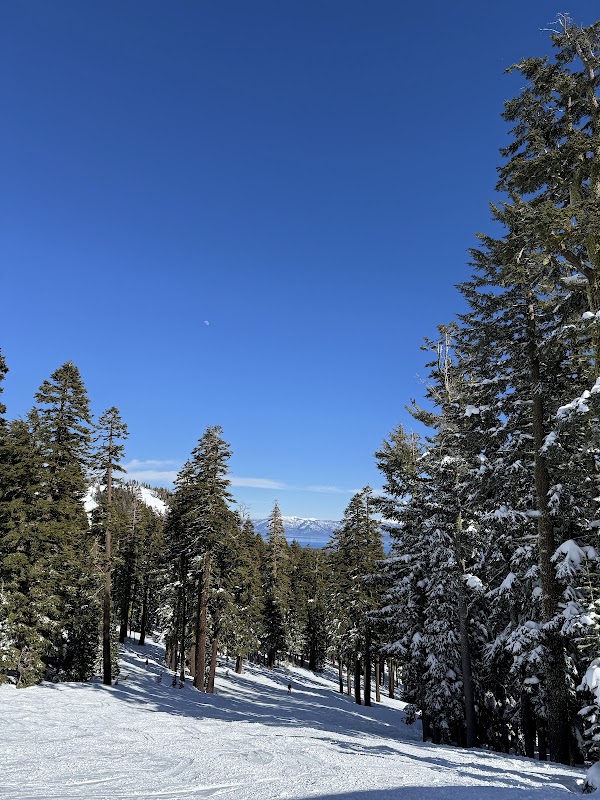 Alpine Base Area at Palisades Tahoe 2