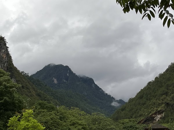 Yunnan Golden Monkey National Park 4