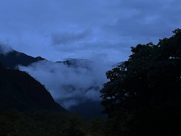 Yunnan Golden Monkey National Park 2