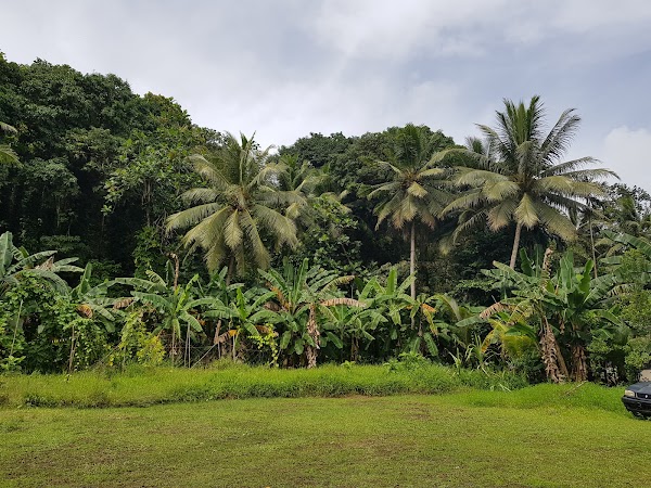 Pohnpei 1