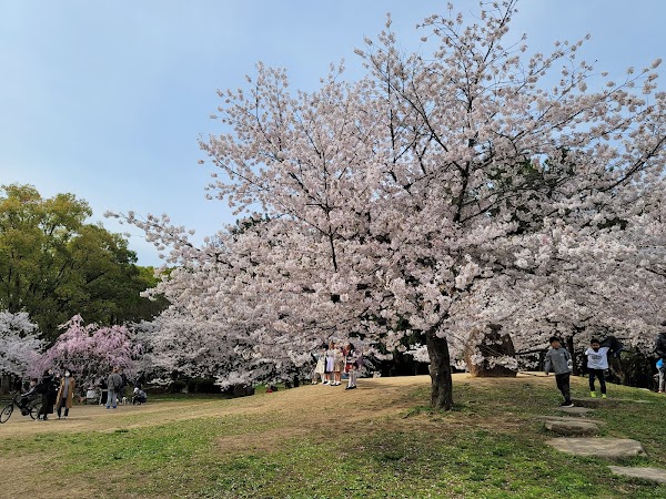 Nagai Park
