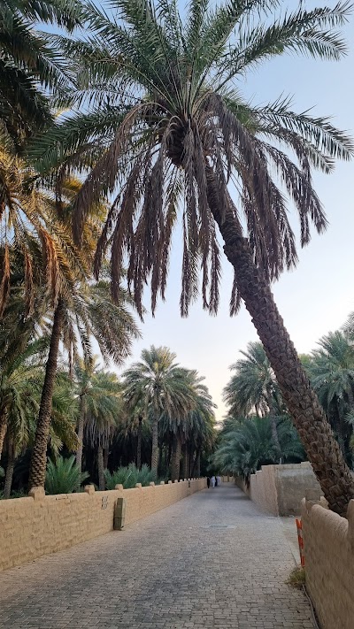 Dubai 87