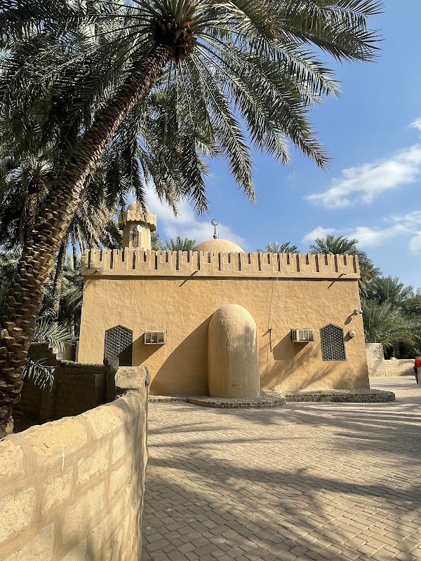 Al Ain Oasis 4