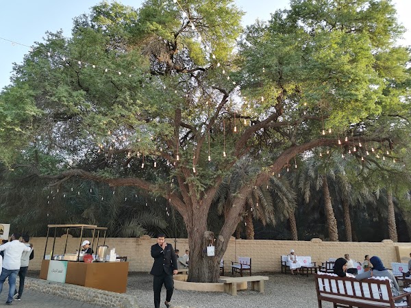 Al Ain Oasis 2