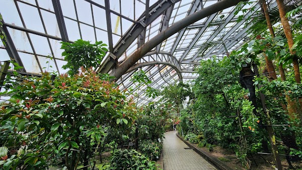 Kyoto Botanical Gardens 1