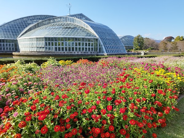 Kyoto Botanical Gardens 5