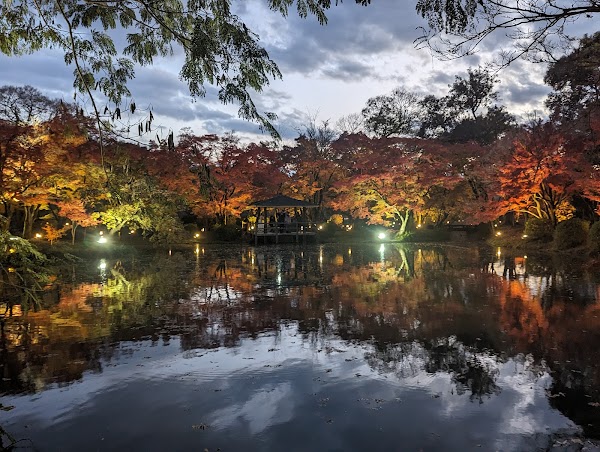 Kyoto Botanical Gardens 2