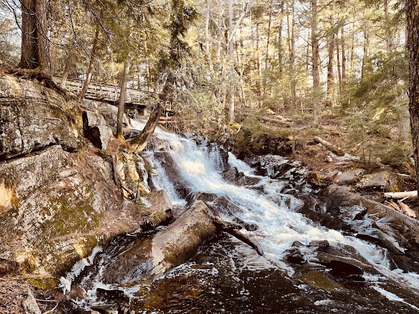 High Falls 5