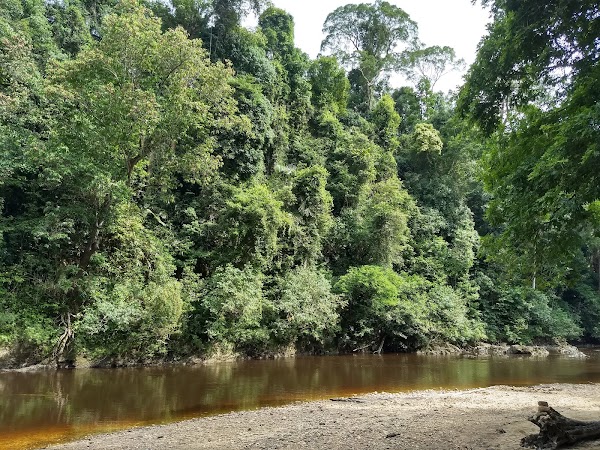 Lubuk Simpon