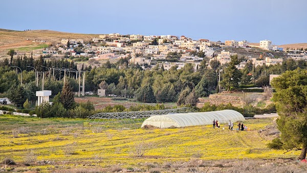 Shobak 1