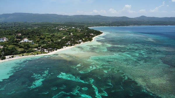 Punta Rucia Mangroves 4