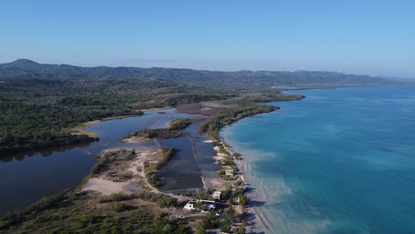 Punta Rucia Mangroves 2