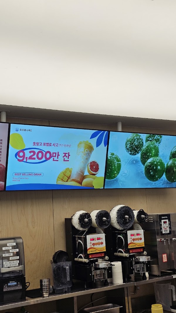차백도 강남역점 2