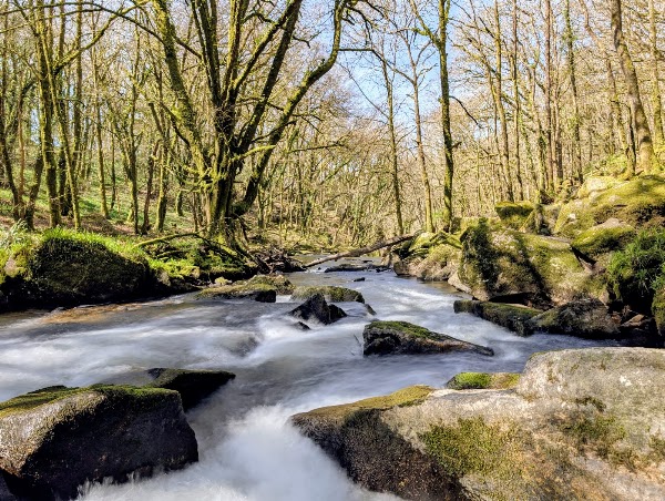 Golitha Falls National Nature Reserve