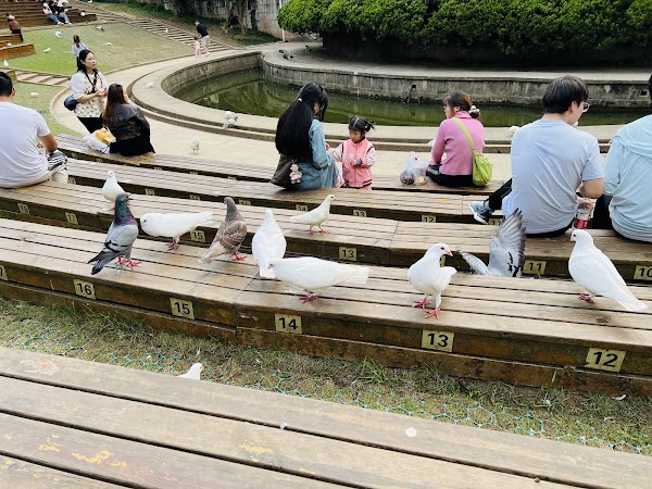 Nanjing Yinyuetai 2