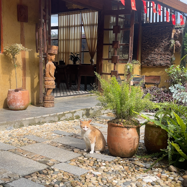 Tiệm Trà Mer – Café & Bistro 5