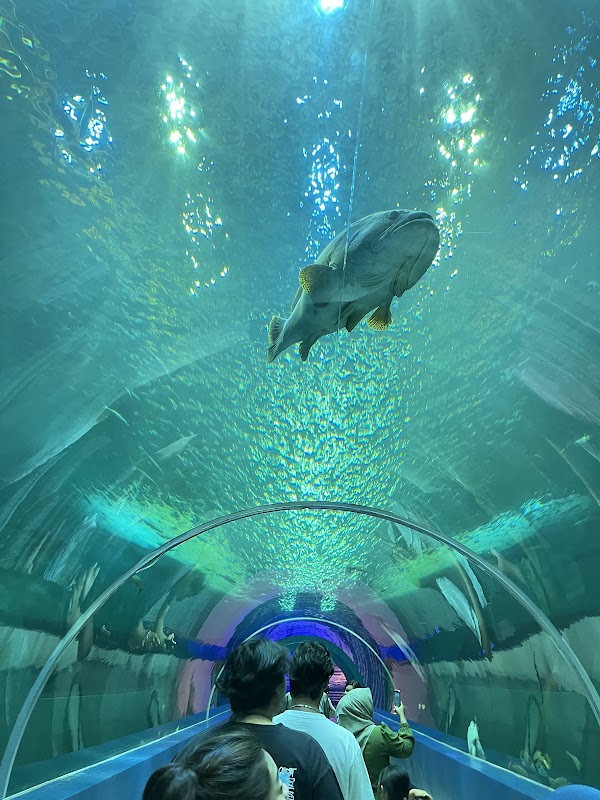 Bangsaen Aquarium 5