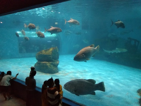 Bangsaen Aquarium 2