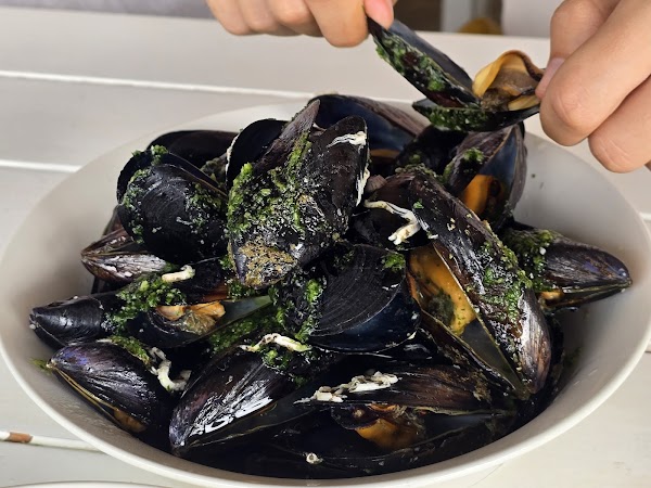 Mussles and oysters farm with restaurant @bokaseafood