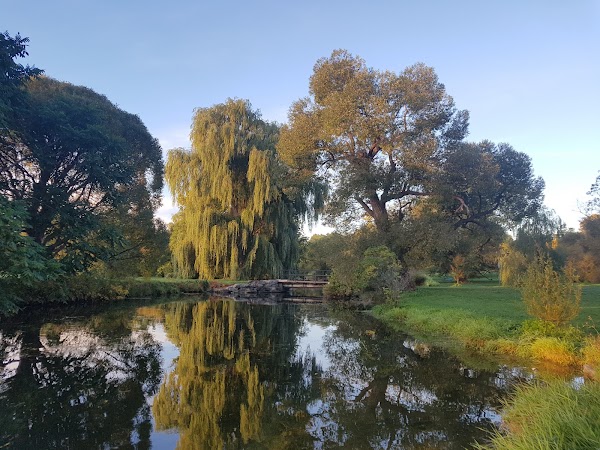 Dominion Arboretum 5