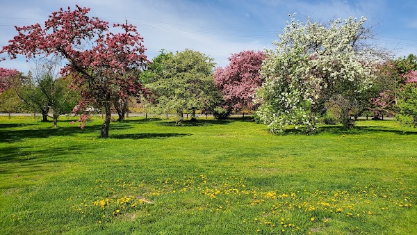 Dominion Arboretum 4