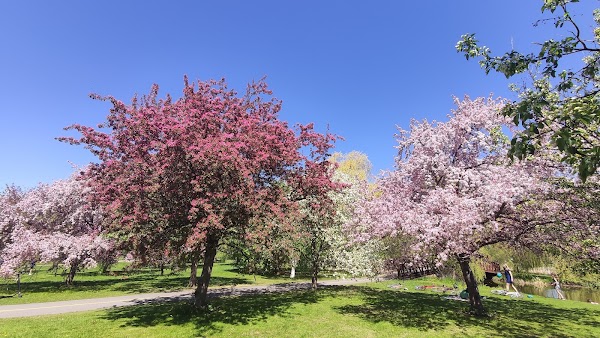 Dominion Arboretum 2
