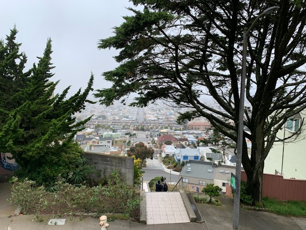 Moraga Steps 5