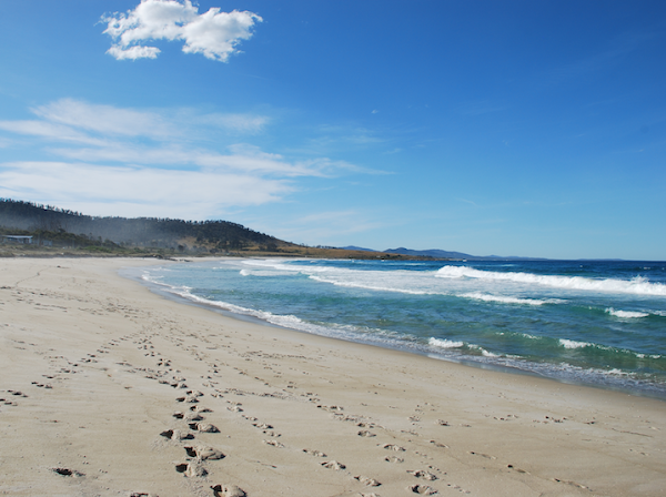 Four Mile Creek Beach 1