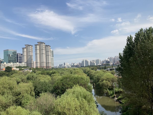 Yeouido Saetgang Ecological Park 4
