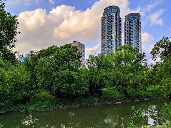 Yeouido Saetgang Ecological Park 3