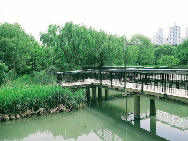 Yeouido Saetgang Ecological Park 2