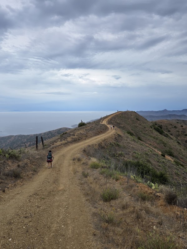 Trans Catalina Trail